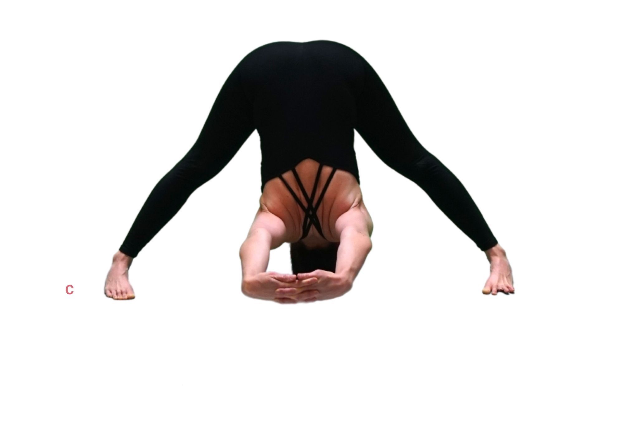 Posture de yoga : prasarita padottanasana - flexion avant debout pieds écartés C